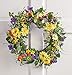 Collections Etc Wild Daisy Floral Twig Door Wreath, 19 1/2