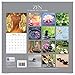 Beautiful Serene & Tranquil Photographs - Zen 2017 Monthly Wall Calendar, 12