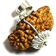 55Carat Choose Your Original Lab Certified Nepali Rudraksha 1 To 13 Mukhi Ganesha Gauri Shankar 925 Sterling Silver Pendant Astrology Jewelry for Women and Men