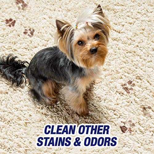 Resolve Pet Carpet Spot & Stain Remover Spray, 22oz (Pack of 2