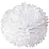10pcs White Tissue Hanging Paper Pom-poms, Hmxpls Flower Ball Wedding Party Outdoor Decoration Premium Tissue Paper Pom Pom Flowers Craft Kit