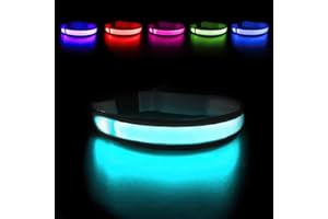 MASBRILL Light Up Dog Collars - LED Dog Collar Rechargeable Lighted Dog Collars Resistant-Water Night Walking Glow in The Dark Collars