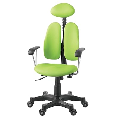 Duorest Chair For Back Pain Amazon Ergonomic Office Chair With