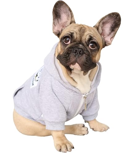 Hundepullover Mit Schweinemuster – Aus Samt-Nerz, Für Kleine Hunde & Katzen, 3 Größen
