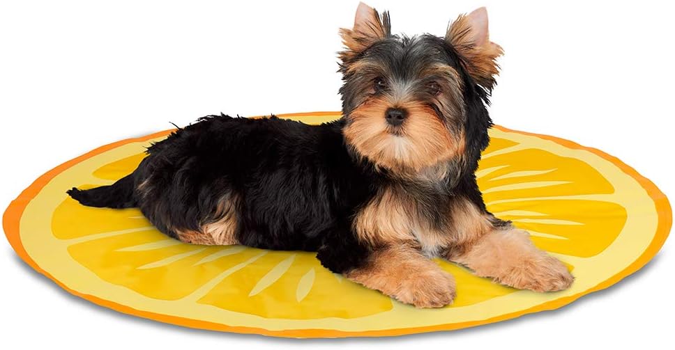 watermelon cooling mat