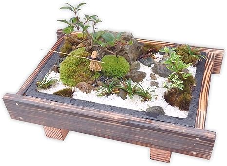 Amazon 盆栽 ミニ庭園 盆景 魚釣り S 観葉植物 オンライン通販