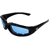 Birdz Eyewear Oriole Motorcycle Glasses