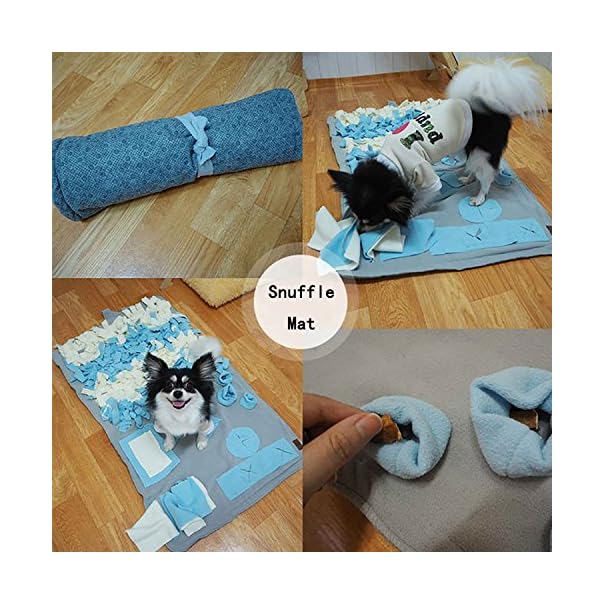 Schnüffelteppich für Hunde, Hund Riechen Trainieren, Geruchsempfindung