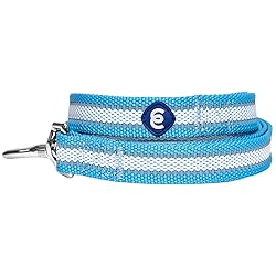 Blueberry Pet Essentials Reflective Better Basics
