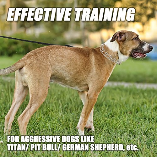 GAITY PET Dog Prong Collar, UltraPlus Prong Training Collar, Stainless
