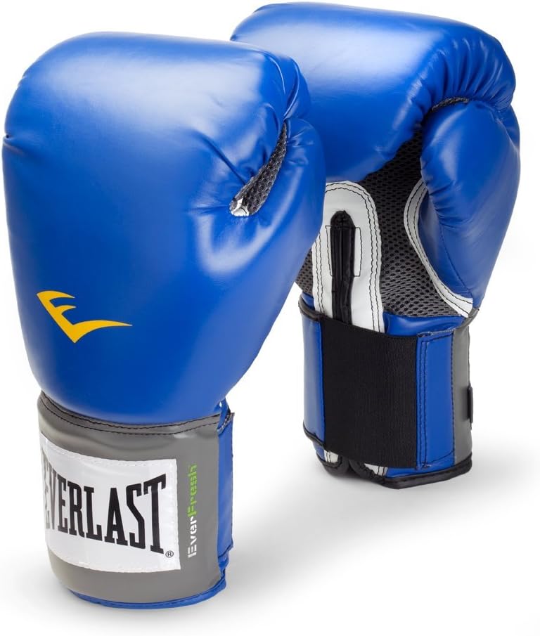 Everlast 12 Oz Boxing Glove (1200010)