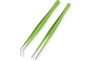 HADIZ Stainless steel Garden Tweezers Two Piece Set For Catus and Succulents 8 Inch Size (Straight & curved)
