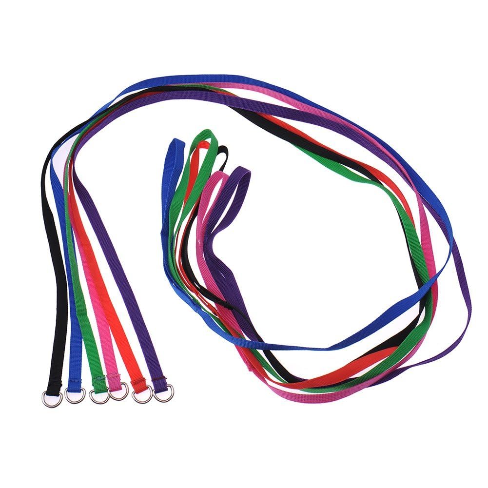 Hypeety 6 Pcs Bulk Pack Slip Leads Dog Pet Grooming Kennel Animal Control Shelter Lead Leash New