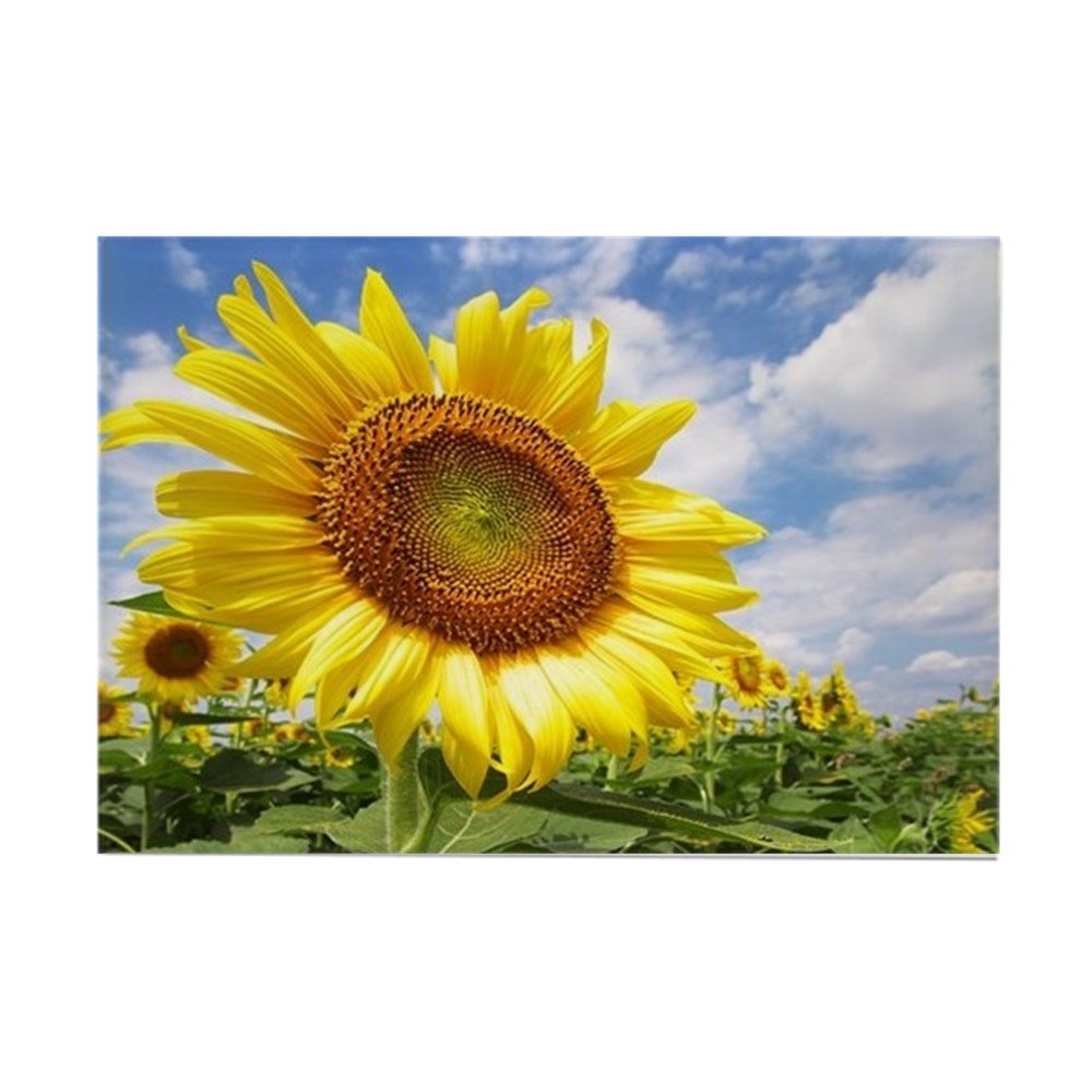 Best dishwasher magnet with sunflowers