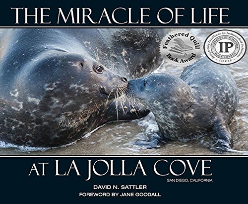 THE MIRACLE OF LIFE AT LA JOLLA COVE