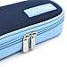 Goldwheat Portable Insulin Cooler Bag Diabetic Organizer Medical Travel Cooler Case(Only Case)