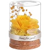 DOITOOL in Glass Dome Immortal Flower Gifts for Women, Forever Flower Rose for Mothers Day, Birthday, Anniversary, Valentines Day, Christmas (Yellow)
