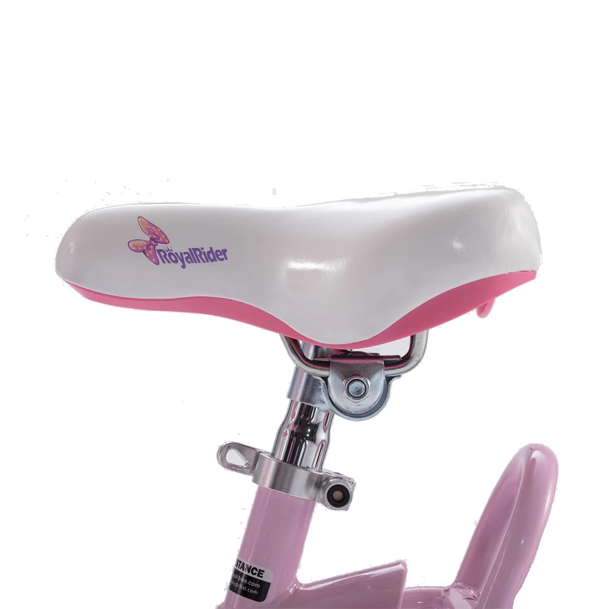 Royalbaby Princess Girls Kids Bike 12 14 16 18 20 Inch Children Bicycle with Basket for Age 3-12 Years