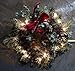 Nantucket 22 inch Lighted Christmas Wreaths - 3 Wreath Set