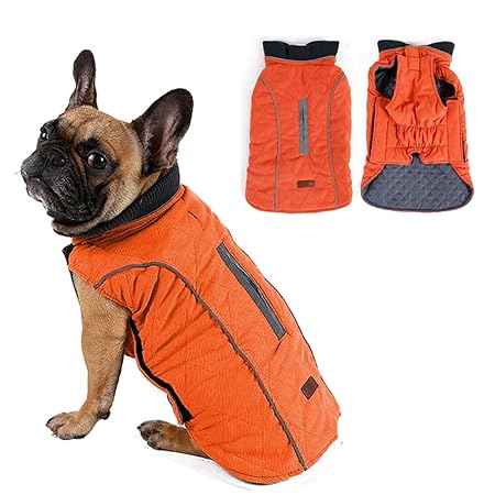 kalter hund streicheln mantel jacke weste warm outfit kleider für kleine bis mittlere große hunde haustier hunde kleider