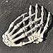 Hosfairy 1 Pairs Halloween Skeleton Hands Plastic Hand Skeleton Model for Halloween Decoration Terror Scary Props(As Shown)