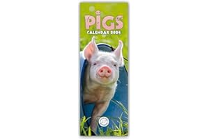 BROWNTROUT VERLAGS GMBH Pigs - Ferkel - Schweinchen 2024 - Slimline-Kalender