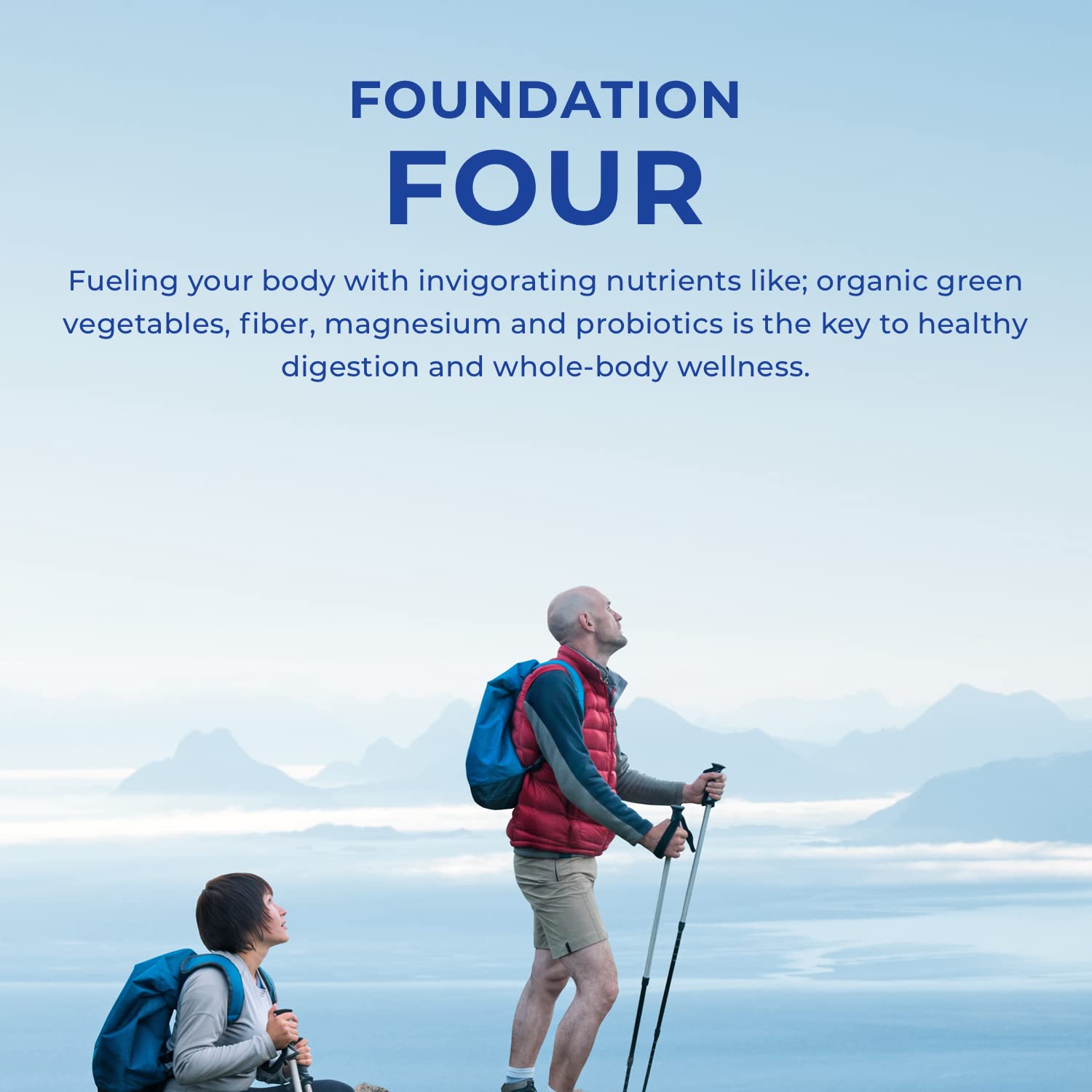 POWERLIFE Tony Horton High Impact Plant Protein Powder with 3000 MG of HMB (Vanilla - New Formula) Foundation Four Greens Drink with Pre & Pro Biotics, Essential Magnesium (Strawberry)