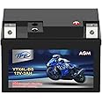 TPE YTX4L-BS High Performance Rechargeable Sealed AGM and Maintenance-Free Replacement Motorcycle Battery for Scooter, Kawasaki, Honda, Yamaha, ATV 12V 3Ah
