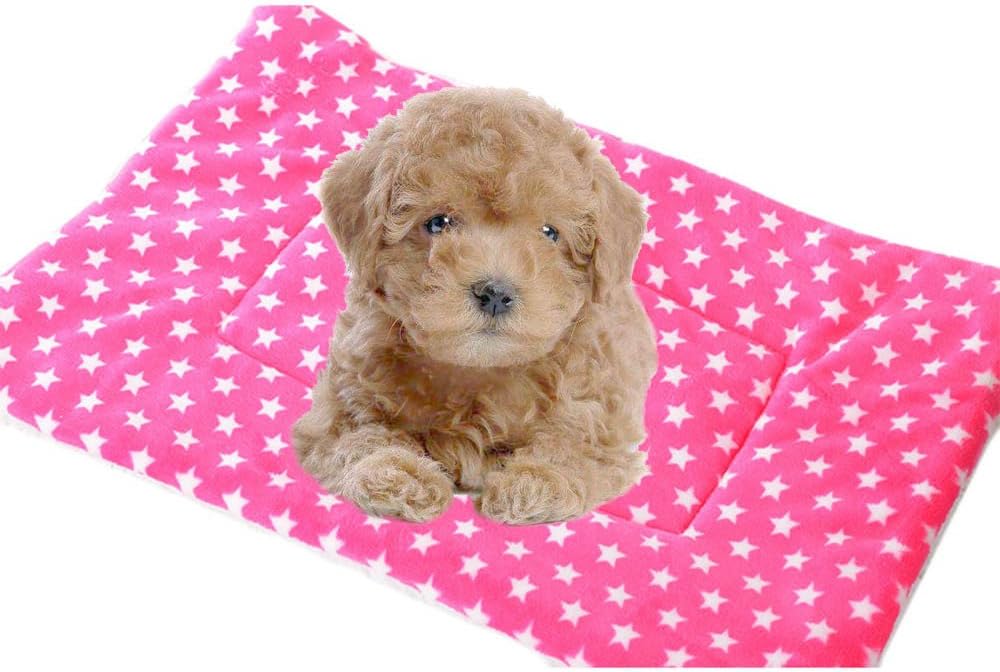 Best pink orthopedic dog furniture