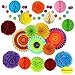 Fiesta Party Decorations, Paper Fans, Pom Poms and Rainbow Party Supplies for Birthdays, Cinco De Mayo, Festivals, Carnivals, Graduation (20 Pieces)
