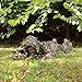 EAROOMZE Mens 3D Lightweight Hunting Suit Airsoft Sniper Ghillie Breathable Camouflage Clothing