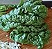 200+ Spinach Seeds- Organic- Bloomsdale Savoy- Heirloom Variety
