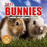 2017 Bunnies Calendar - 12 x 12 Wall Calendar - 210 Free Reminder Stickers