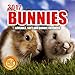 2017 Bunnies Calendar - 12 x 12 Wall Calendar - 210 Free Reminder Stickers