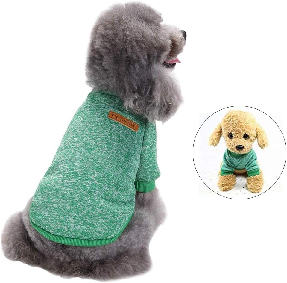 miniature poodle clothes