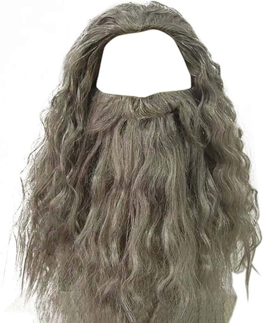 Amazon Com Men S Grey Wizard Wig And Beard Set Curly Messy Long