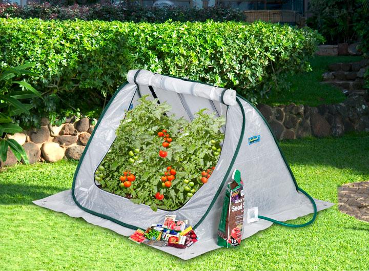 Flower House FHSD100 SeedHouse Seed Starter Greenhouse