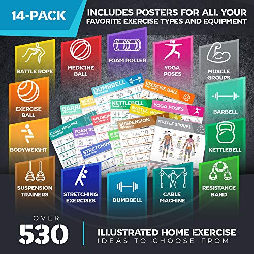 Workout Posters For Home Gym 12-Pack - Dumbbell, Yoga, Resistance Band ...