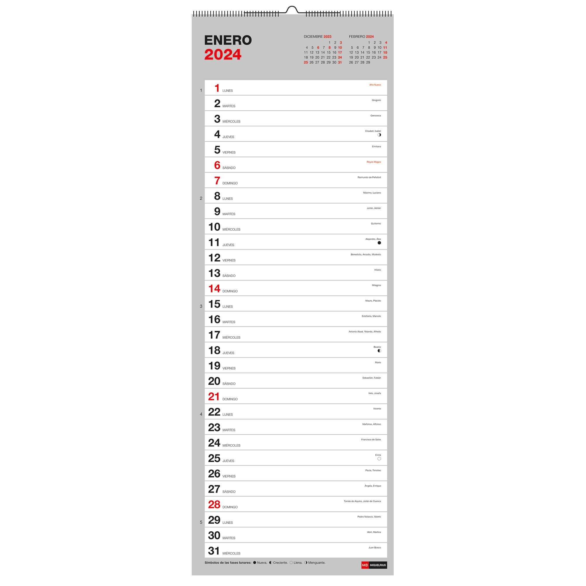 Miquelrius - 2024 Basic Wall Calendar, Size 155 x 430 mm, With Room to Note, Double Spiral Binding, Spanish