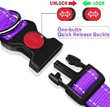 ATETEO Reflective Padded Dog Collar Medium 13-19.7 in Purple view 4