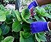 WILDFLOWER Tools Gardening Gloves for Women and Men - Nitrile Coating for Protection (Small, Purple Pair/Green Pair with White Cuff Hem)