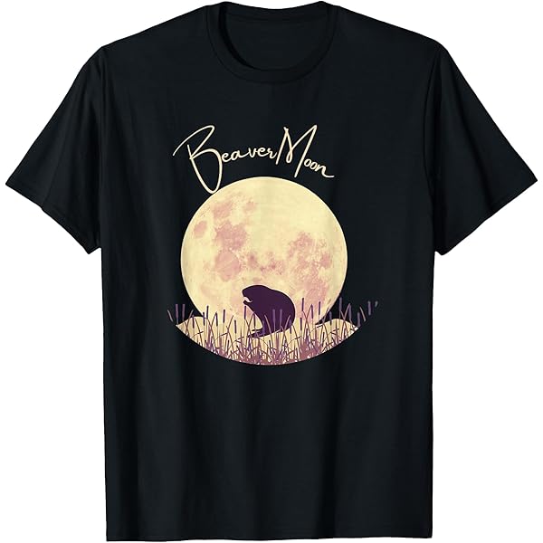 Amazon.com: Front and Back of the Moon T-Shirt : Clothing, Shoes