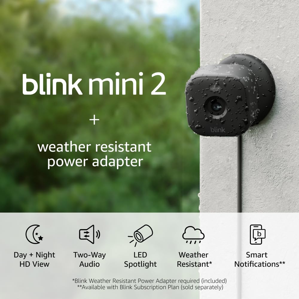 Blink Mini 2 + Weather Resistant Adapter — Indoor/Outdoor Home Security & Pet Camera(s) with HD video, motion detection, and built-in spotlight — 1 camera (Black)