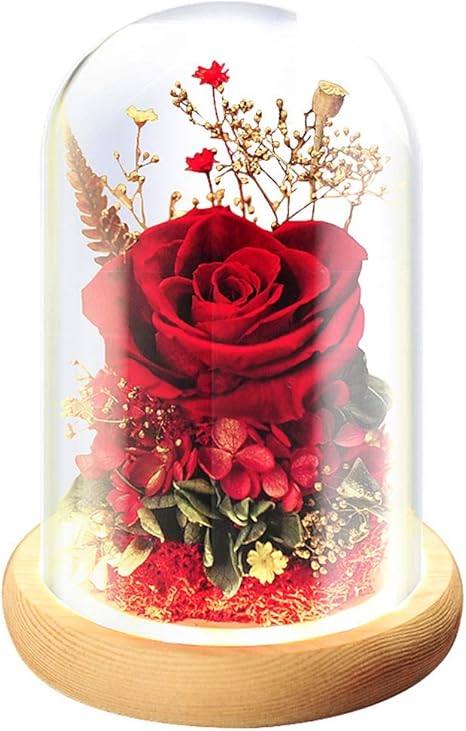 Amazon エターナルローズ ガラスドゥームでムードライト 永遠のローズ 決して枯れた花で保存レアル ローゼズ 彼女のバラのロマンチックなギフト 色 青 Size 12x18cm プリザーブドフラワー オンライン通販