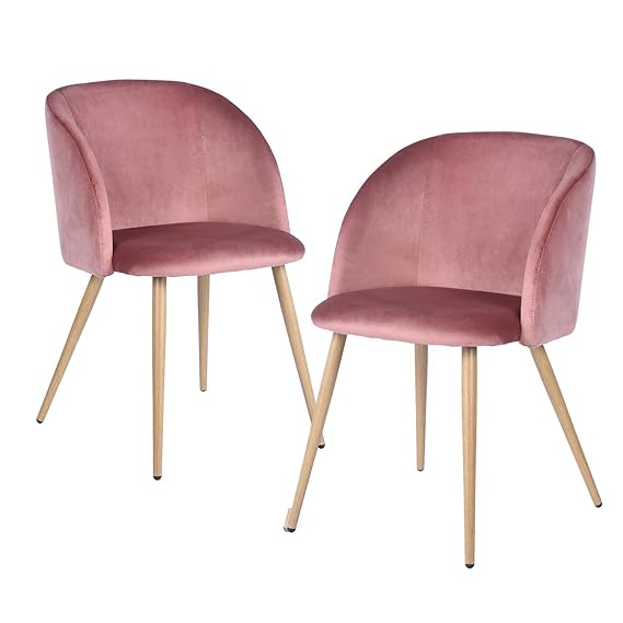 FurnitureR Juego de 2 sillas de Comedor para Cocina, sillas Laterales