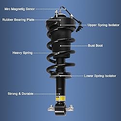 DICMIC Front Air Strut Shock Absorber with Spring