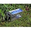 Defenders-VIC0068-Rat-and-Squirrel-Cage-Trap-Humane-Easy-to-Bait-and-Set-Long-Lasting-Galvanised-Mesh-Silver Defenders Rat and Squirrel Cage Trap (Humane, Easy to Bait and Set, Long-Lasting Galvanised Mesh), Silver, STV088, One…