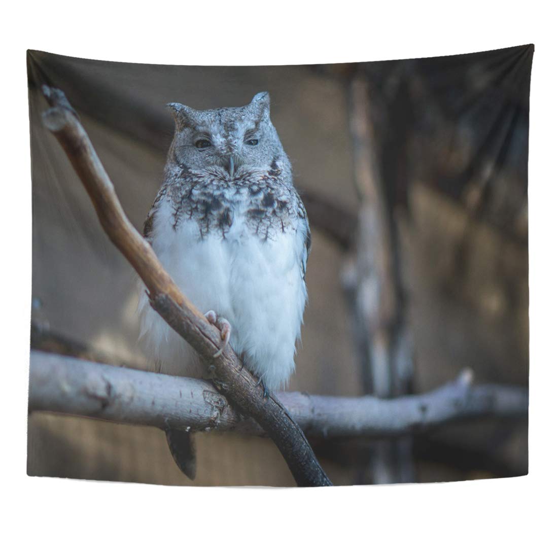 Amazon Com Emvency Tapestry Bird White Animal Adult