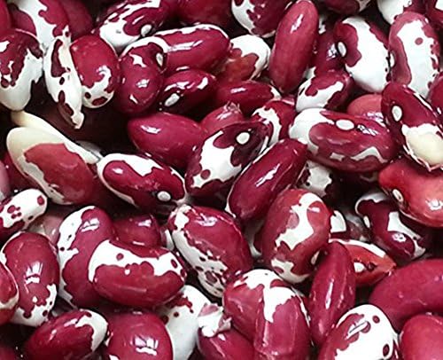 Organic Anasazi Beans, 5 Lbs (5 x 1 lb Poly Bags) Product of USA