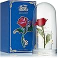 Spectrum Collections Beauty and The Beast Rose Cloche Make Up Storage, Spectrum Acrylic Makeup Brush Holder with Enchated Rose, Makeup Brush Organiser, Official Disney Makeup Brush Storage Holder